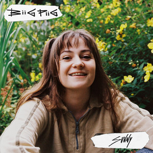 Sunny - Biig Piig | Song Album Cover Artwork
