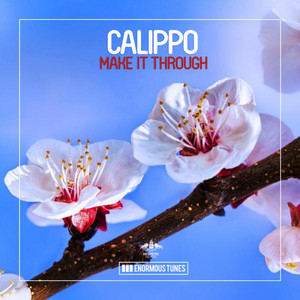 New Direction - Original Mix - Calippo | Song Album Cover Artwork