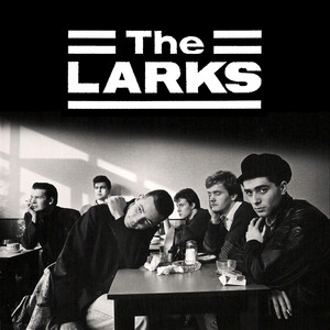 Maggie Maggie Maggie Out Out Out - The Larks U.K. | Song Album Cover Artwork