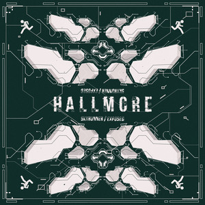 Sky Runner - Hallmore | Song Album Cover Artwork