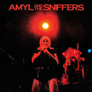 Stole My Push Bike - Amyl and The Sniffers | Song Album Cover Artwork
