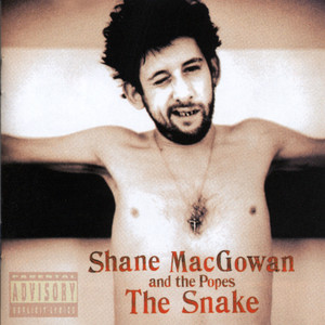 Haunted - Shane MacGowan & The Popes | Song Album Cover Artwork