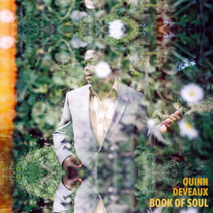 Been Too Long Quinn DeVeaux | Album Cover