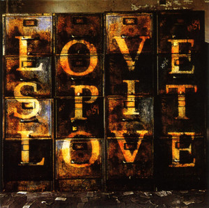 Am I Wrong Love Spit Love | Album Cover