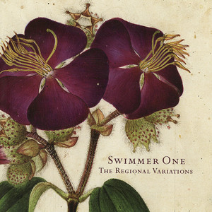 But My Heart Is Broken - Swimmer One | Song Album Cover Artwork