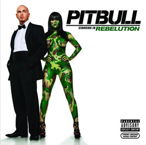 Hotel Room Service - Pitbull | Song Album Cover Artwork