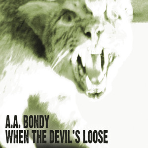 When The Devil's Loose - A.A. Bondy | Song Album Cover Artwork