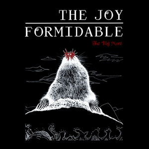 Cradle (Fang Island Remix) - The Joy Formidable