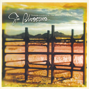 Hey Jealousy Gin Blossoms | Album Cover
