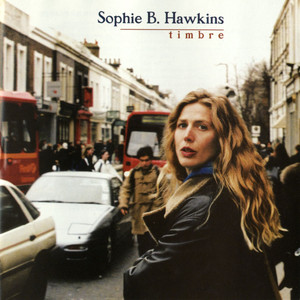 The One You Have Not Seen - Sophie B. Hawkins | Song Album Cover Artwork