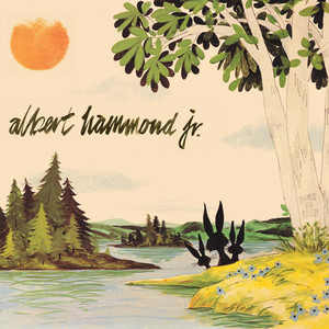 In Transit Albert Hammond Jr | Album Cover