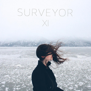 All I Hear Is Noise - Surveyor | Song Album Cover Artwork
