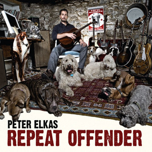 Anticipation Peter Elkas | Album Cover
