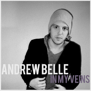 In My Veins (feat. Erin McCarley) Andrew Belle | Album Cover