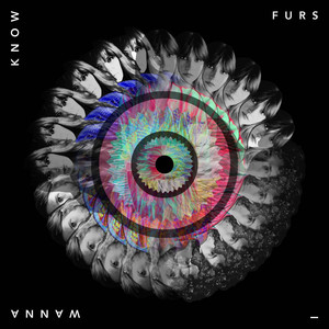 I Wanna Know FURS | Album Cover