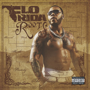 Sugar - Flo Rida | Song Album Cover Artwork