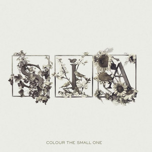 Sunday - Sia | Song Album Cover Artwork