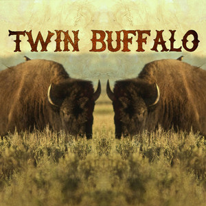 I Go Where Nobody Don't - Twin Buffalo | Song Album Cover Artwork