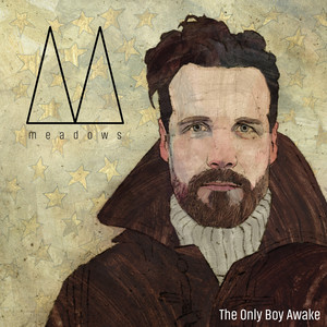 The Only Boy Awake - Meadows | Song Album Cover Artwork