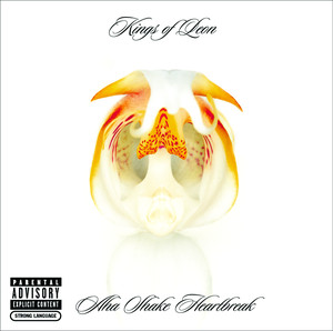 Four Kicks - Kings Of Leon | Song Album Cover Artwork