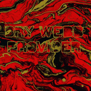 Undertaker - Bry Webb | Song Album Cover Artwork