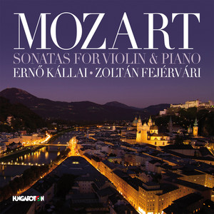 Sonata For Violin & Piano No. 21 In E Minor, K. 304: I. Allegro - Mozart