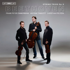 String Trio, Op.9, No. 3 - Ludwig Van Beethoven | Song Album Cover Artwork