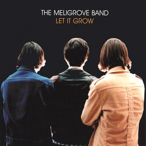 Take Me To The Sun - Meligrove Band