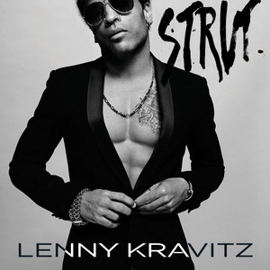 Dirty White Boots - Lenny Kravitz | Song Album Cover Artwork
