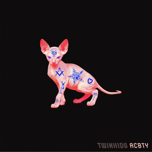 ACBTY - TWINKIDS | Song Album Cover Artwork