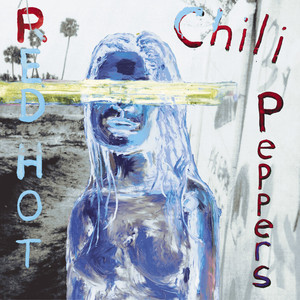 Don't Forget Me Red Hot Chili Peppers | Album Cover