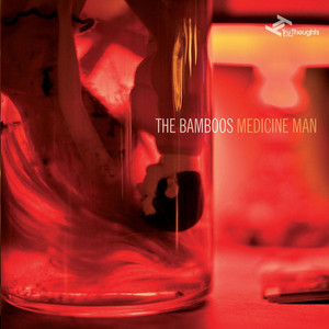I Got Burned (feat. Tim Rogers) - The Bamboos | Song Album Cover Artwork