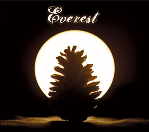 Into Your Soft Heart - Everest
