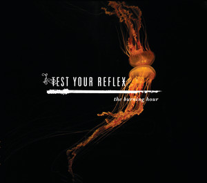 Do We Belong - Test Your Reflex | Song Album Cover Artwork
