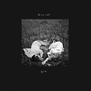 Colour - Wild Cub | Song Album Cover Artwork