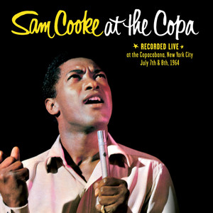 The Best Things In Life Are Free - Sam Cooke | Song Album Cover Artwork