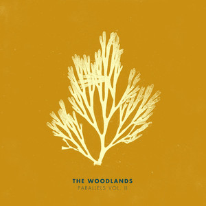 Can We Stay - The Woodlands | Song Album Cover Artwork