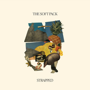Second Look - The Soft Pack | Song Album Cover Artwork