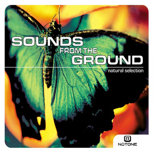 Gentle Healing - Sounds From The Ground | Song Album Cover Artwork