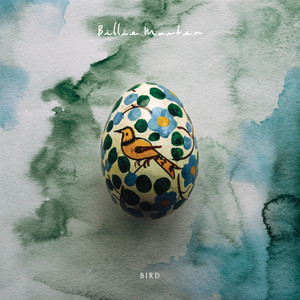 Bird Billie Marten | Album Cover