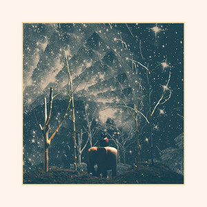 The Light - Nick Hakim | Song Album Cover Artwork