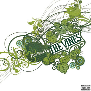 Spaceship - The Vines | Song Album Cover Artwork