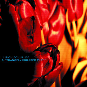 Gone Forever - Ulrich Schnauss | Song Album Cover Artwork