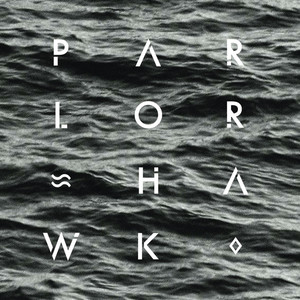 We Better Run Parlor Hawk | Album Cover
