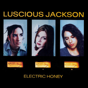 Ladyfingers - Luscious Jackson | Song Album Cover Artwork