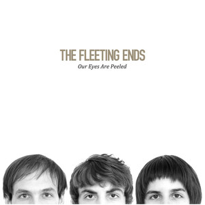 Little People - The Fleeting Ends | Song Album Cover Artwork