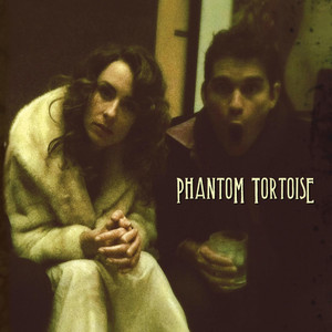 I'll Take You - Phantom Tortoise | Song Album Cover Artwork