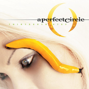Weak and Powerless - A Perfect Circle | Song Album Cover Artwork