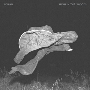 High in the Woods - Johan | Song Album Cover Artwork