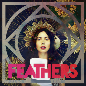 Dark Matter - Feathers | Song Album Cover Artwork